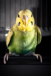 Similar image 2932710