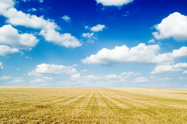 Similar image 2932712