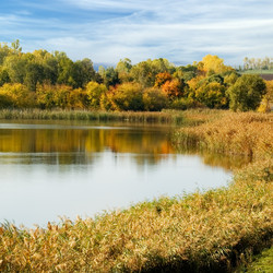 Similar image 2932714