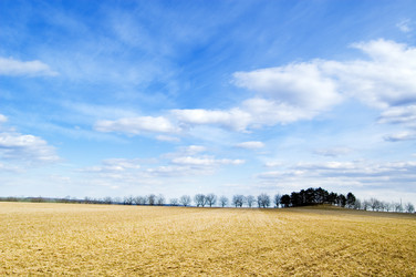 Similar image 2932716