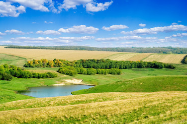 Similar image 2932718