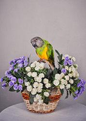 Similar image 2932781