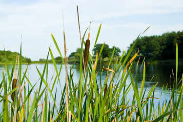 Similar image 2932794