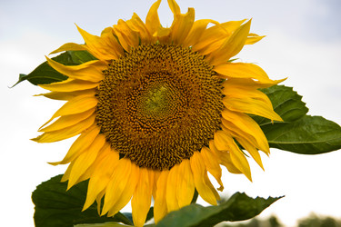 Similar image 2932797