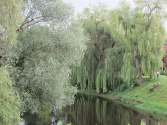 Similar image 2932799