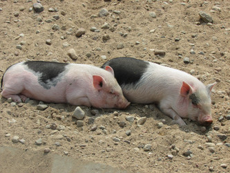 Similar image 2932800