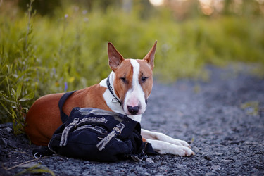 Similar image 2932809