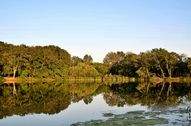 Similar image 2932819