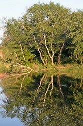 Similar image 2932820