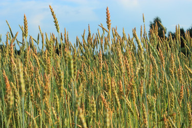 Similar image 2932834