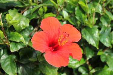 Similar image 2932851