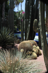 Similar image 2932852