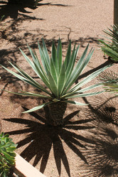 Similar image 2932854