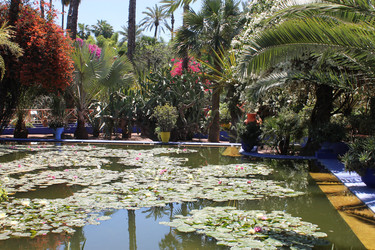 Similar image 2932855