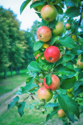 Similar image 2932863