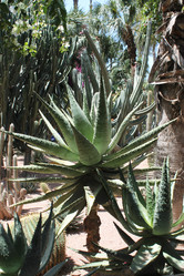 Similar image 2932872