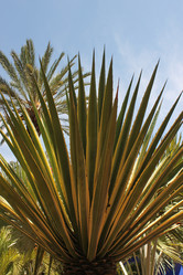 Similar image 2932873