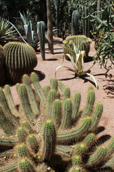 Similar image 2932874