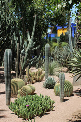 Similar image 2932875