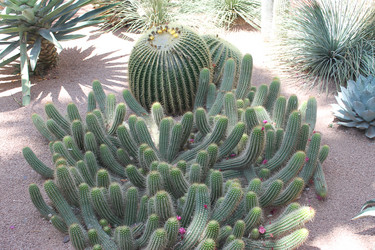 Similar image 2932876