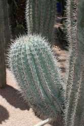 Similar image 2932878