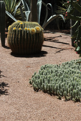 Similar image 2932880