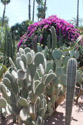 Similar image 2932881