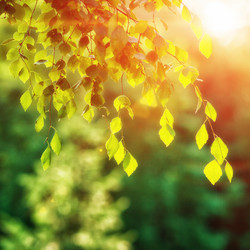 Similar image 2932882