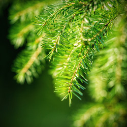 Similar image 2932893