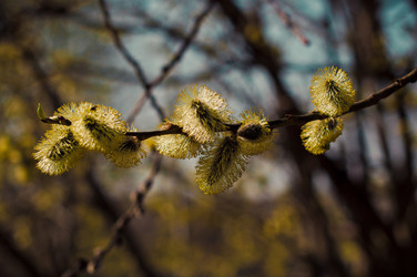 Similar image 2932988