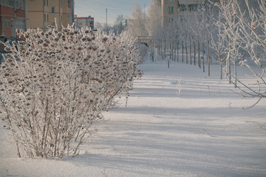 Similar image 2932991