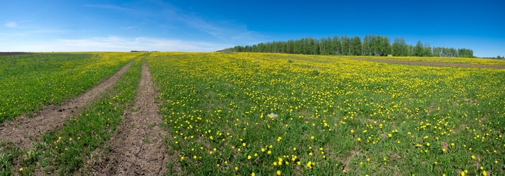 Similar image 2933010