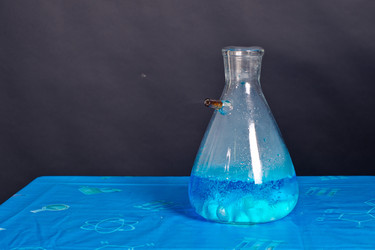 Similar image 2933011