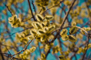 Similar image 2933014