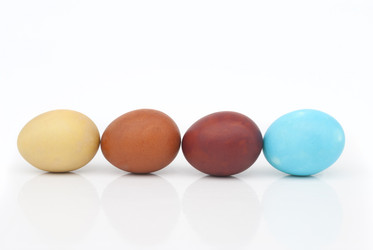 Similar image 2933022