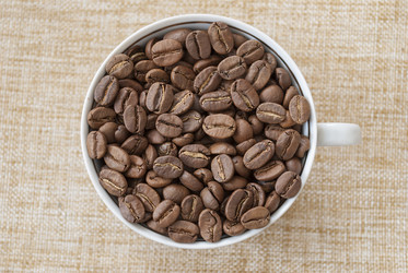 Similar image 2933027