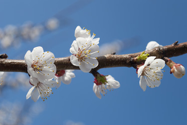 Similar image 2933044