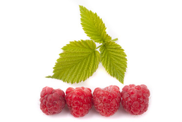 Similar image 2933063