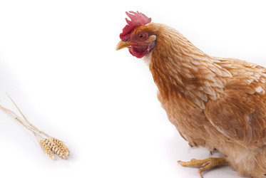 Similar image 2933065