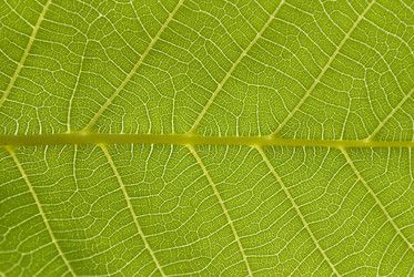 Similar image 2933066