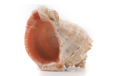 Similar image 2933071