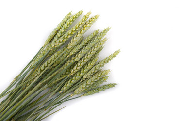 Similar image 2933076