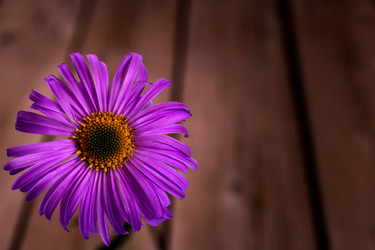 Similar image 2933228