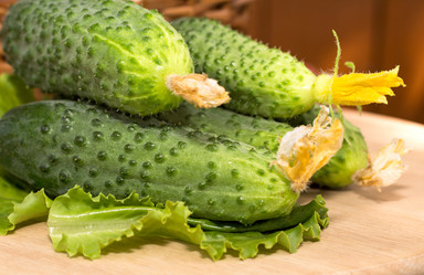 Similar image 2933232