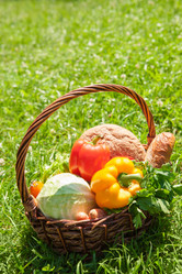 Similar image 2933437