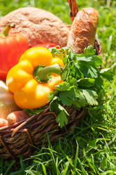 Similar image 2933438