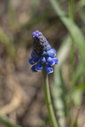 Similar image 2933643