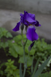 Similar image 2933645