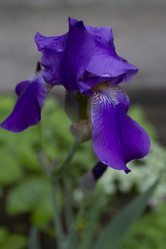 Similar image 2933646