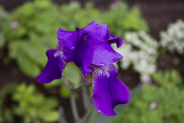 Similar image 2933647